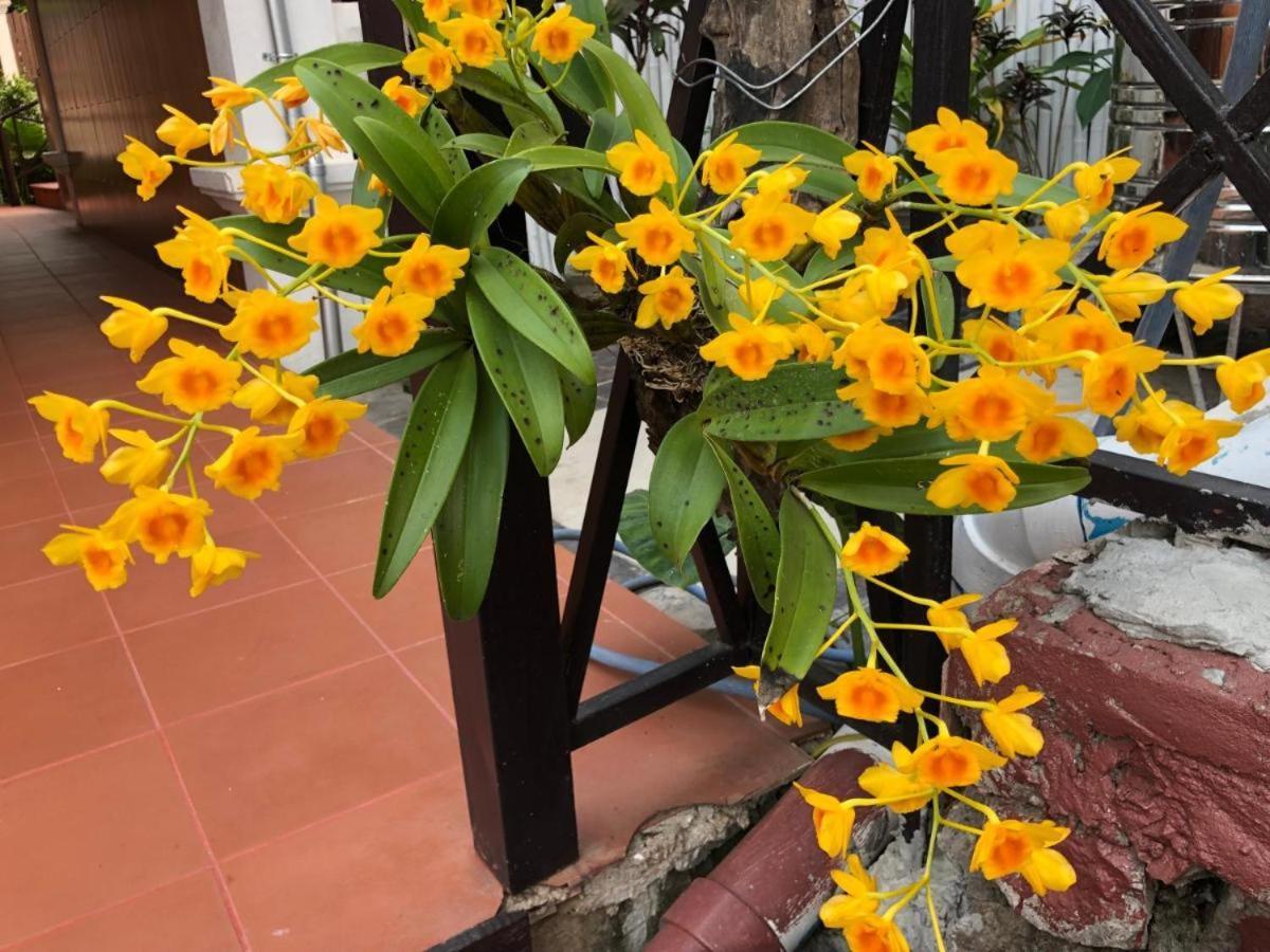Villa Mery2 Luang Prabang Dış mekan fotoğraf